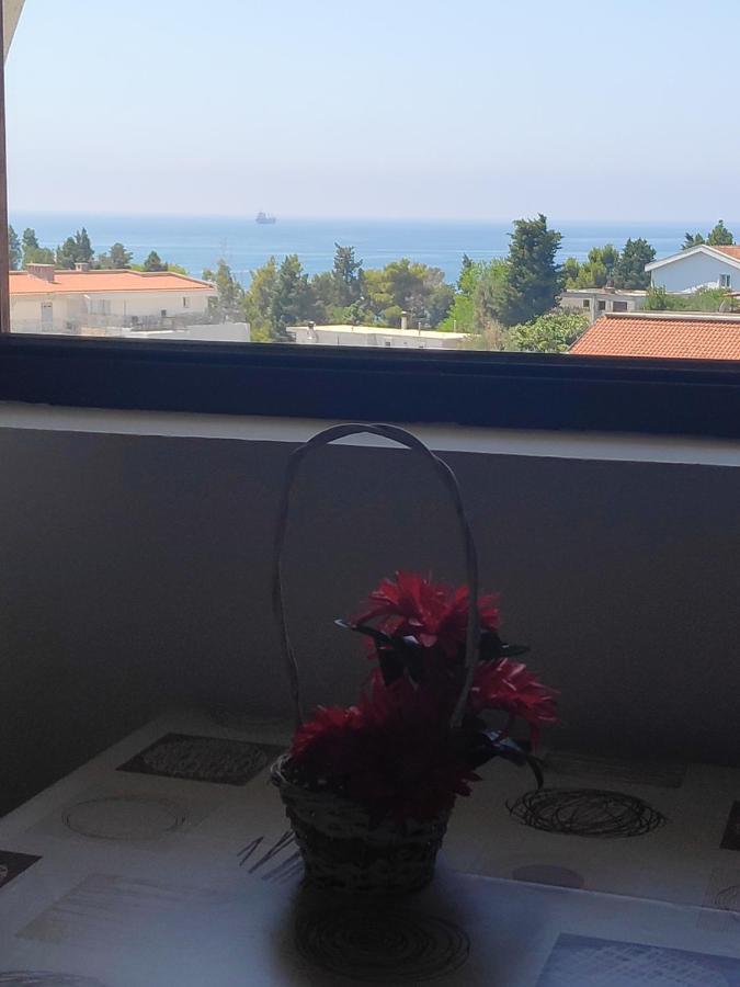 Apartmani Vitic Bar Buitenkant foto